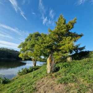 Contacts et Tarifs - Soins énergétique - Thérapeute